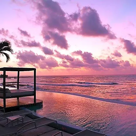 Senses Riviera Maya, Oceanfront Boutique Hotel, Adults Only