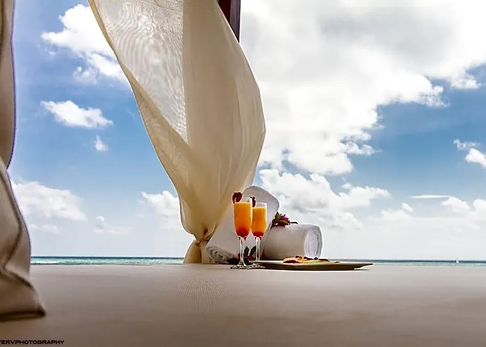 Senses Riviera Maya, Oceanfront Boutique Hotel, Adults Only Hotel Riviera Maya